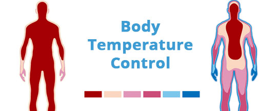 Yes, Your Mind Can Control Your Body Temperature